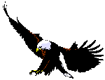 [Eagle]